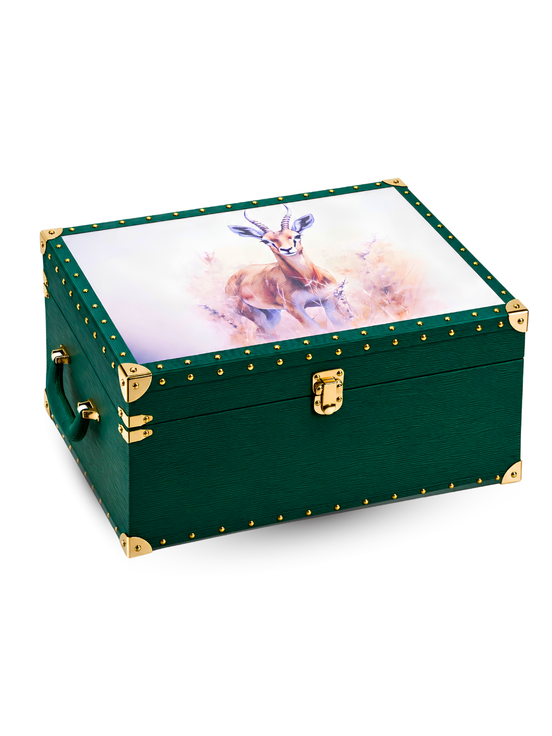 Green Box - Medium 004